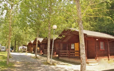 Abadesses camping que acepta perros en Girona