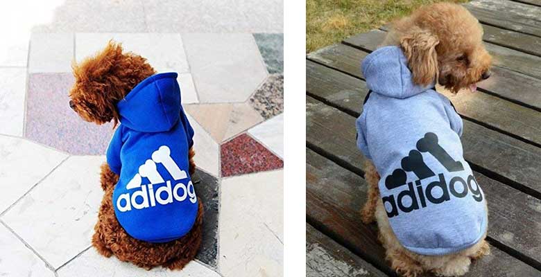 Sudadera para perros con estilo deportivo - Ducomi Adidog