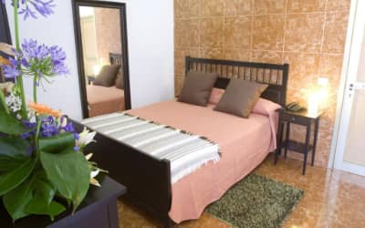 Adonis Capital hotel pet friendly en Santa Cruz de Tenerife