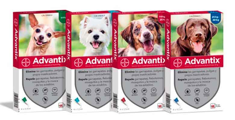 Pipetas Advantix para perros - Antiparasitarias