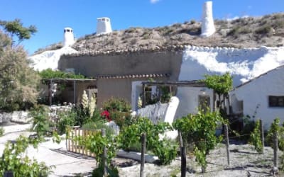 Al Jatib apartamentos en Granada que admiten mascotas