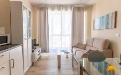 Ancha 22 apartamentos que admiten mascotas en Cádiz