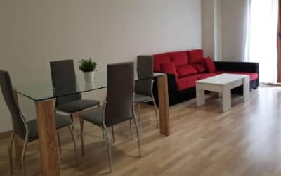 Apartamento Turístico Puente Romano P3 Bajo-B - Apartamento en Salamanca que admite mascotas