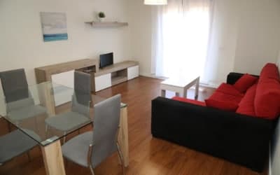 Apartamento Turístico Puente Romano P4 Bajo C - Apartamento para ir con perros en Salamanca