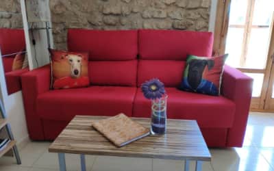 Apartamento Rural apartamento para ir con perro en Zaragoza