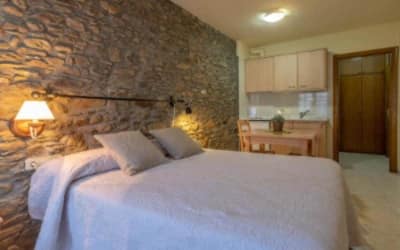 Aparthotel Les Corts hotel pet friendly en Llivia - Cerdanya - Pirineo Catalán