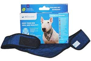 Bandana refrescante para perros - Aqua Coolkeeper Pet Bandana