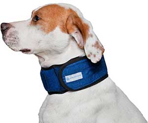 Collar refrescante para perros - Aqua Coolkeeper Collar