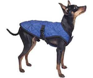 Chaleco refrigerante para perros con tecnología Cooling Hydroquartz - Aqua Coolkeeper Pet Jacket