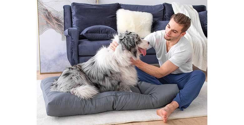 El cojín para perros más popular del mercado - Bedsure