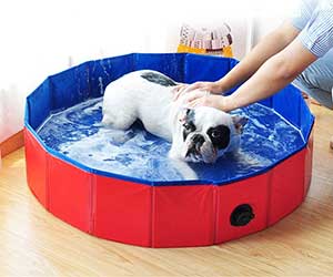 Piscina plegable para perros (tamaño mini, ideal para usar como bañera - Decdeal