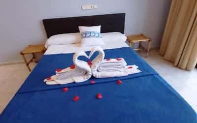 Bonsol hotel pet friendly en Lloret de Mar