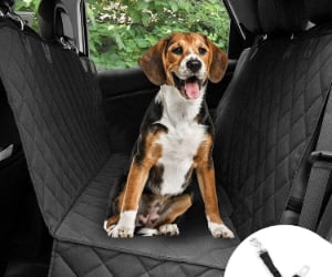 Protector de coche para perros con 3 modos de uso - Bonve Pet