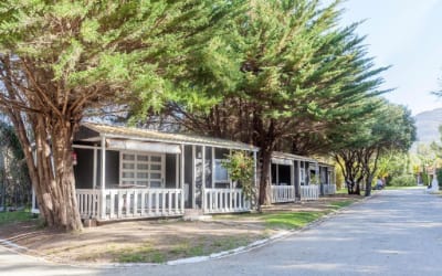 Bungalows Tangana camping que acepta perros en Cádiz