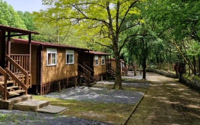 Camping Ramales - admite mascotas en Cantabria