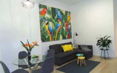 Casa Papagayo apartamento pet friendly en Santa Cruz de Tenerife