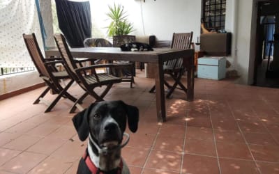 Casa Rural La Fuensanta apartamentos que aceptan mascotas en Mojácar