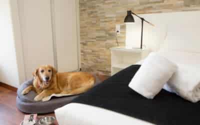 Casual del Mar Málaga hotel pet friendly en Málaga