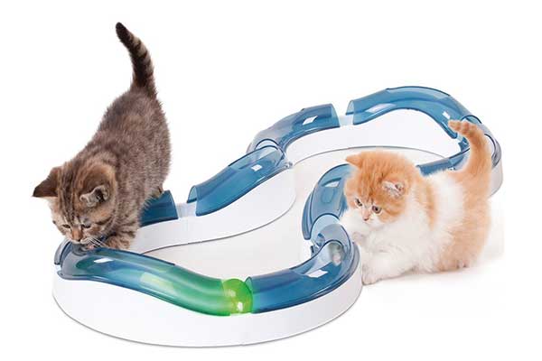 Juego interactivo para gatos, tipo circuito con pelotas - Catit Design Senses