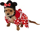 Disfraz de Minnie para perrita - Rubies