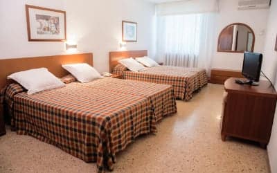 Ecoavenida - Hotel pet friendly en Benicasim