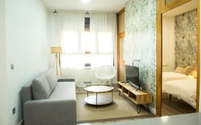 Elegante Apartamento LAUD1 - Apartamento en Valladolid que acepta perros