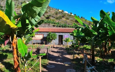 Entrada al Parque Etnográfico de La Gomera