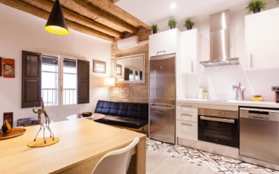 Ferreries Boutique Apartamento para ir con perro en Girona