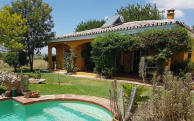 Finca La Gallina Blanca apartamento para ir con perros en Málaga - Alhaurín el Grande