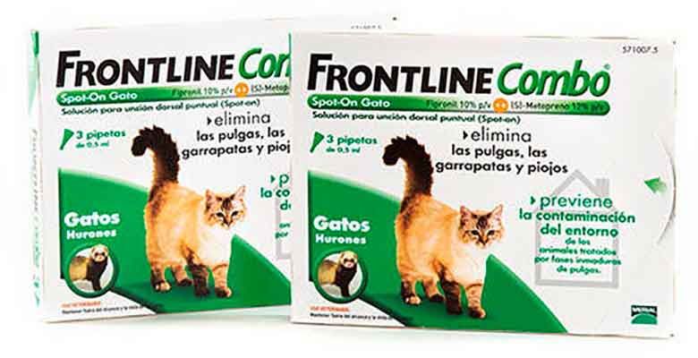 Pipetas antiparasitarias para gatos - Frontline Combo