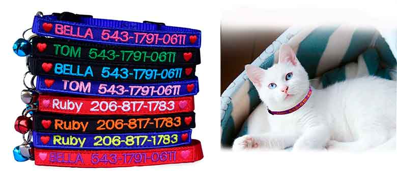 Collar personalizado para gatos - Graceful life