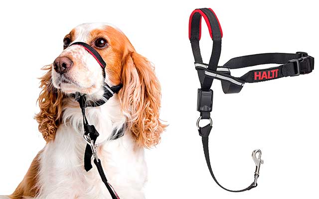 Collar de adiestramiento para perros - Halti Optifit