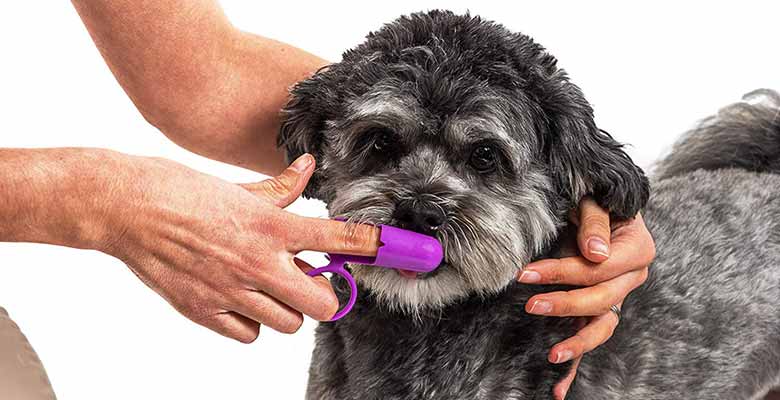 Cepillo de dientes de dedo para perros - Hazara