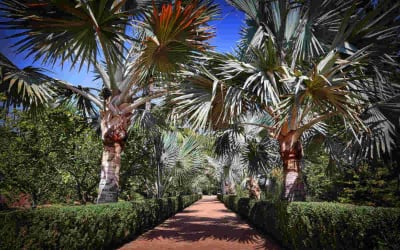 Jardin de L Albarda