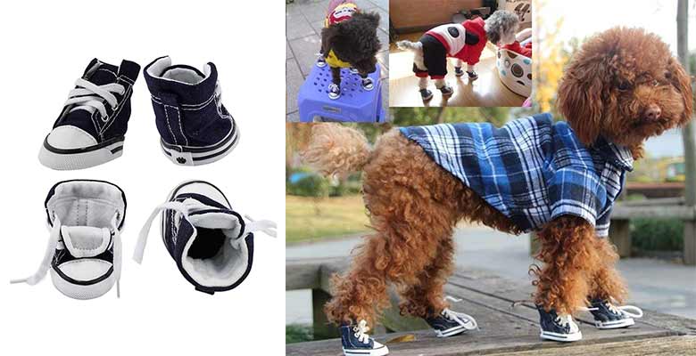 Patucos para perros estilo "Converse" - KEESIN