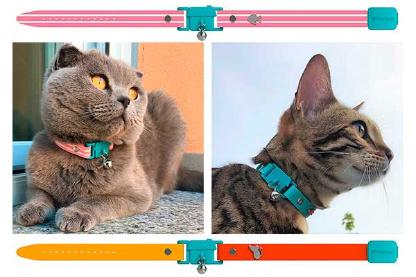 Collar para gatos hipoalergénico, transpirable y resistente al agua - Kittyrama