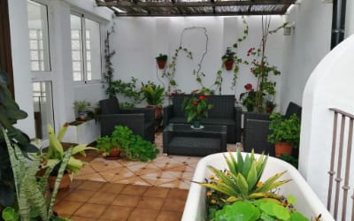 La Guarida de Vejer casa rural pet friendly en Cádiz