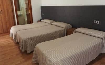 La Palmera & Spa hotel que admite perros en Lloret de Mar