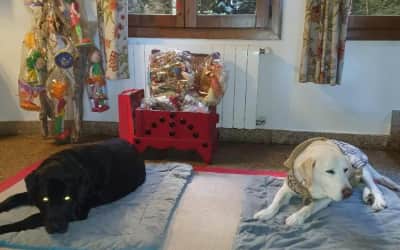 La Picota casa rural pet friendly en Cáceres