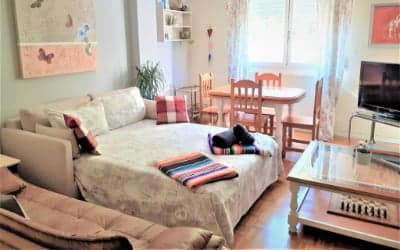 Logrocity Puerta del Ebro apartamento que admite mascotas en Logroño