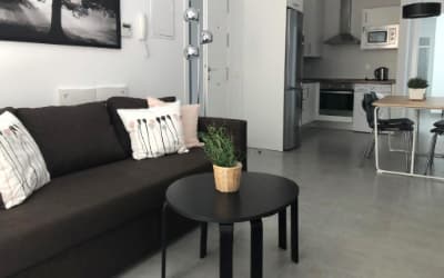 Málaga Apartamentos - Jinetes, 10 apartamentos en Málaga que admiten perros