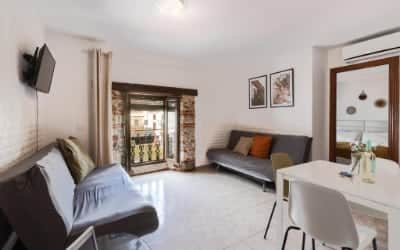 MarbellaTown apartamento que acepta perros en Marbella