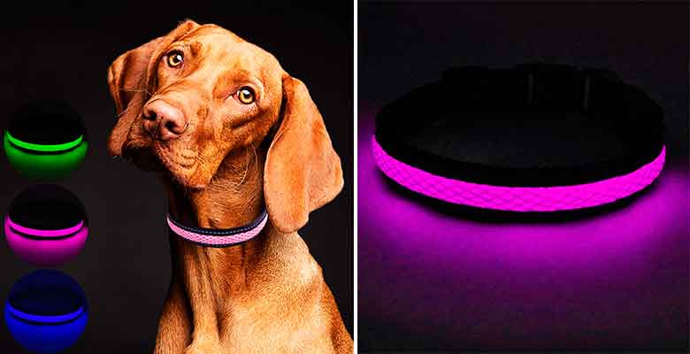 Coleira luminosa com luz LED para cães - MASBRILL