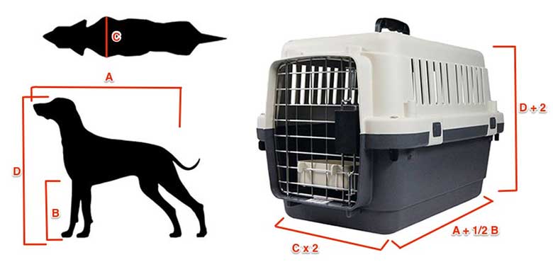 Cómo medir a tu perro o gato para comprar el transportín adecuado para él