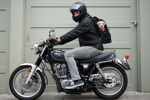 Mochila para llevar al perro en moto