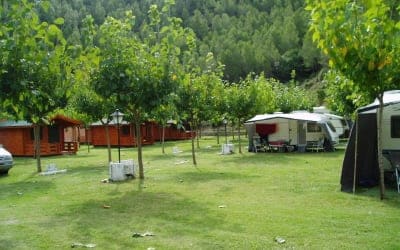 Molí l'Abad - Camping para ir con perros en Castellón