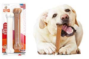 Hueso de nylon con sabor a bacon y pollo para perros - Nylabone