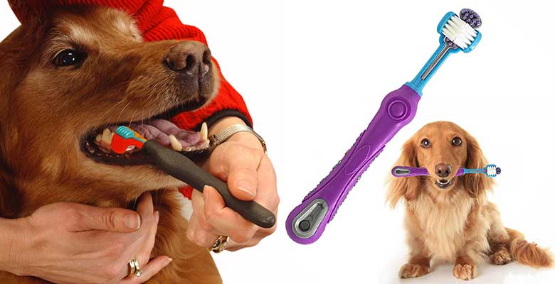 Cepillo de dientes para perros medianos y grandes - OFKPO