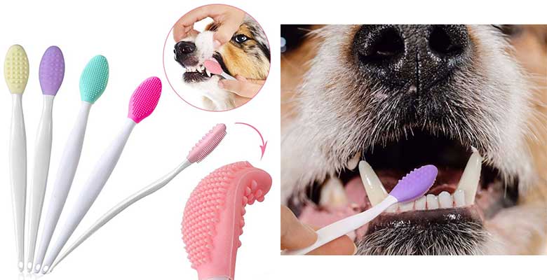 Cepillo de dientes para perros pequeños o con encías sensibles - OneBarleycorn