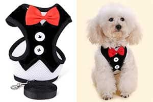 Arnés con diseño especial de traje para perros - PETCUTE